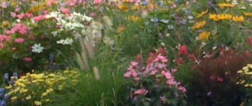 Der Herbst zeigt, dass Schönheit auch im Loslassen liegt Der Herbst zeigt, dass Schönheit auch im Loslassen liegt