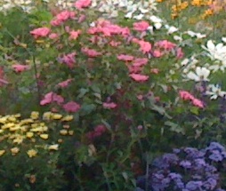 Der Herbst zeigt, dass Schönheit auch im Loslassen liegt Der Herbst zeigt, dass Schönheit auch im Loslassen liegt